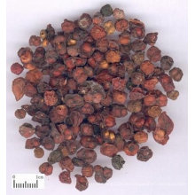 dried Schisandra Chinensis fruit